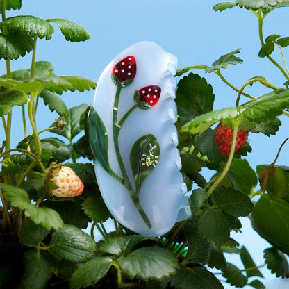 Forest Berry Claw - Large Strawberry