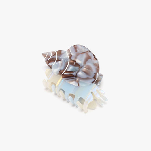 Blue Whelk Sea Snail Shell Acetate Hair Claw Clip