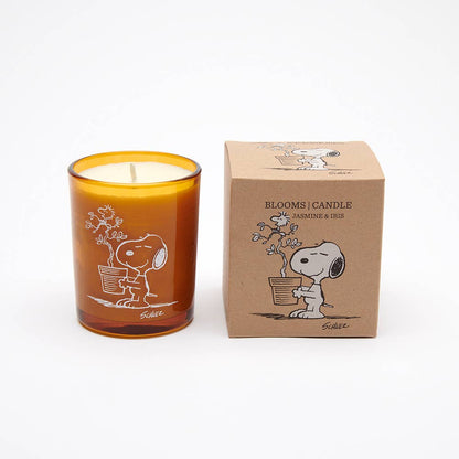 Peanuts Candle - Blooms:  Jasmine & Iris