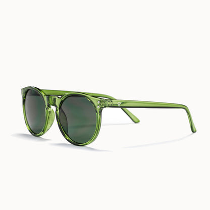 Anchor Point Sunglasses in Green 100% Recycled Plastic
