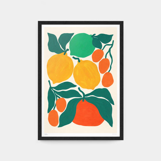 Citrus Art Print:  A3