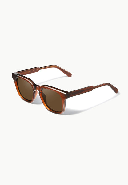 Martelli Sunglasses in Brown