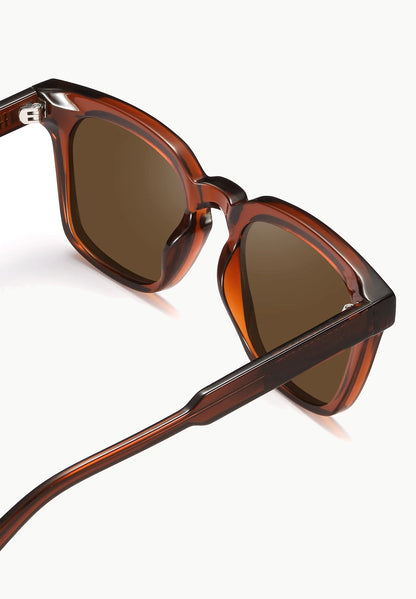 Martelli Sunglasses in Brown