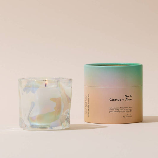 No. 6 Cactus + Aloe Candle
