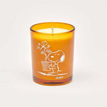 Peanuts Candle - Blooms:  Jasmine & Iris