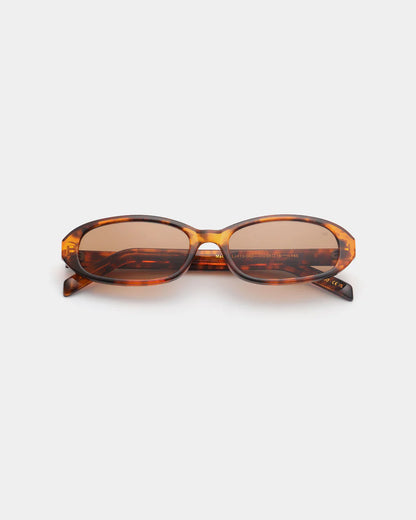Macy Sunglasses in Havana