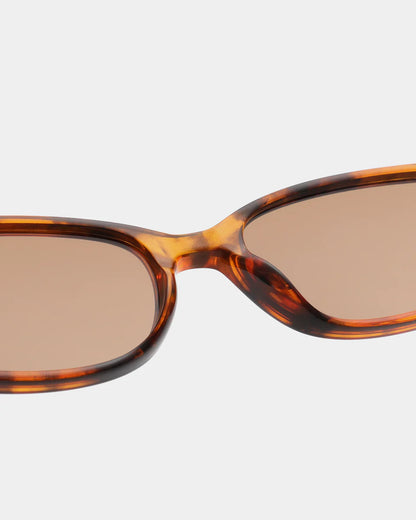 Macy Sunglasses in Havana