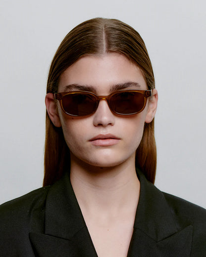Charlie Sunglasses in Smoke Transparent