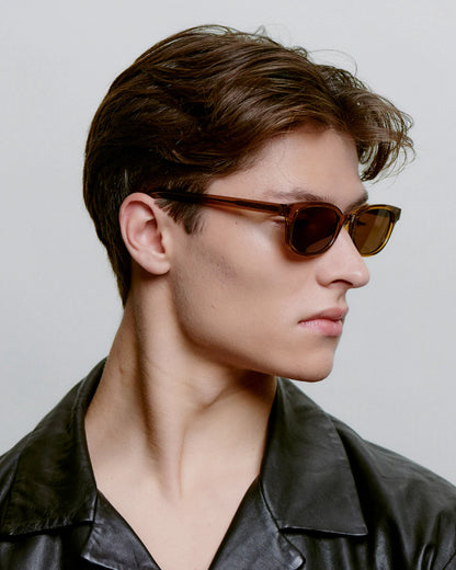 Charlie Sunglasses in Smoke Transparent