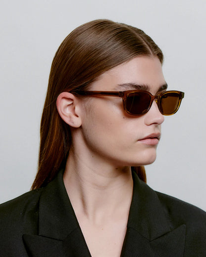 Charlie Sunglasses in Smoke Transparent