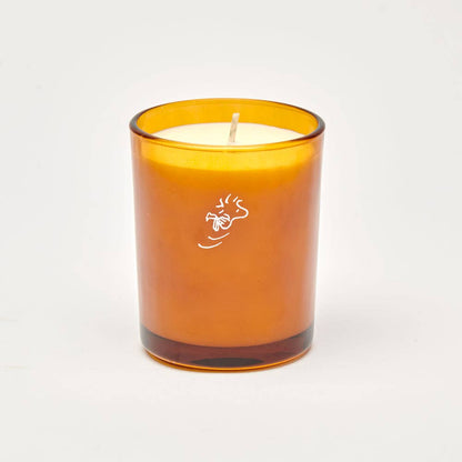 Peanuts Candle - Home: Amber & Cedar