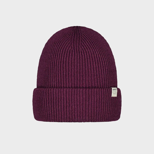 Kinabalu Beanie in Aubergine